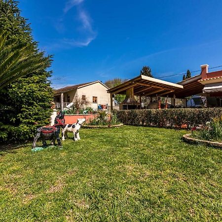 Antonela Sunshine Apartment By Corfu Escapes Perama  Exterior foto